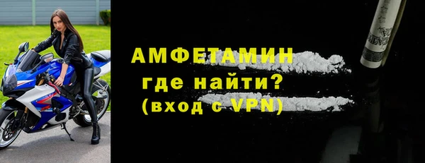 хмурый Белокуриха