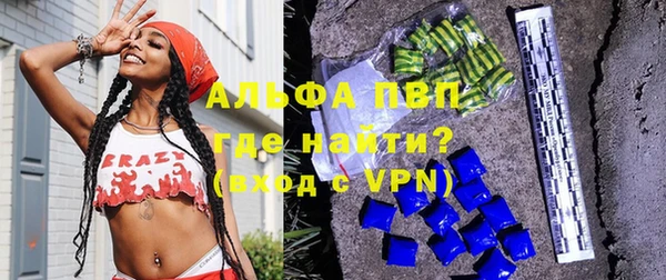 стафф Богданович