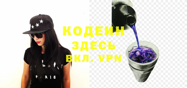 хмурый Белокуриха