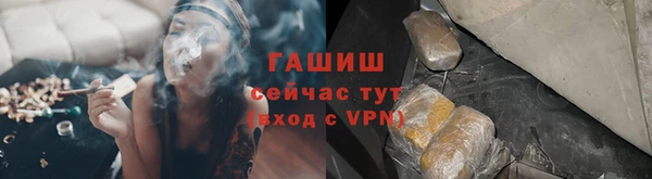хмурый Белокуриха