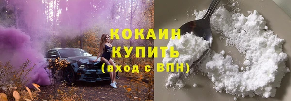 стафф Богданович